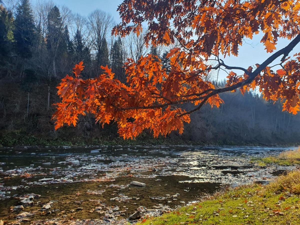 Domki U Gretka Lutowiska Exterior foto