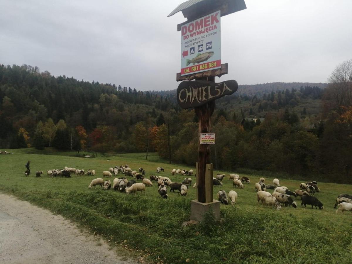 Domki U Gretka Lutowiska Exterior foto
