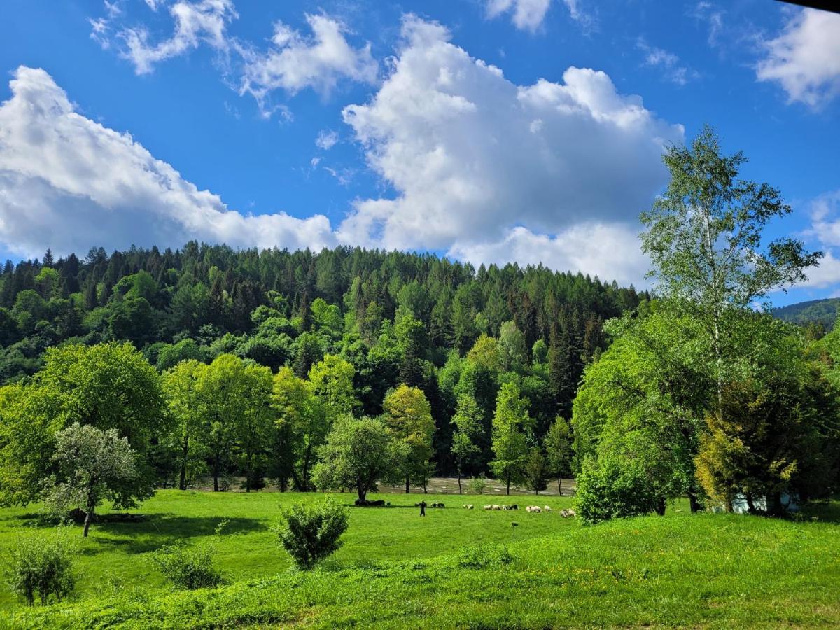 Domki U Gretka Lutowiska Exterior foto