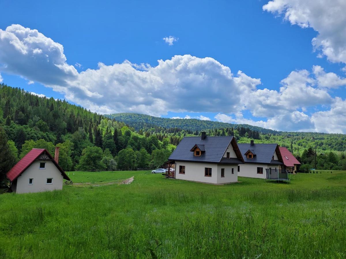Domki U Gretka Lutowiska Exterior foto